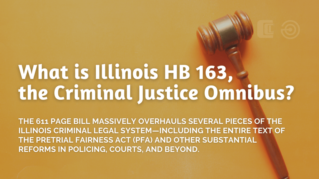 Civil Liberties & Police Accountability - Chicago Appleseed Center for Fair  Courts